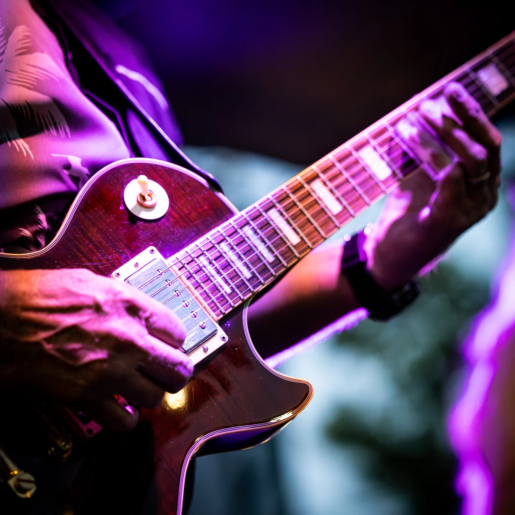 Lincoln Street Band live performance photo 4